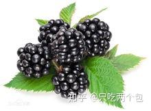 v2-47f571847f96e1d6d278c2f3a32d9b90_b.jpg