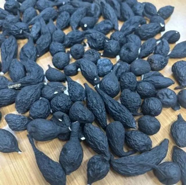 “菌界大熊猫”——乌灵参,究竟有何特别之处? - 知乎