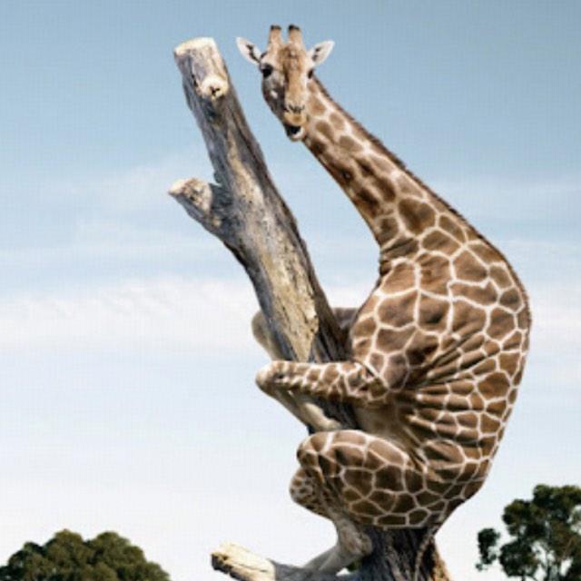 人为什么要睡觉？是人体需要休息还是灵魂意识要休息?