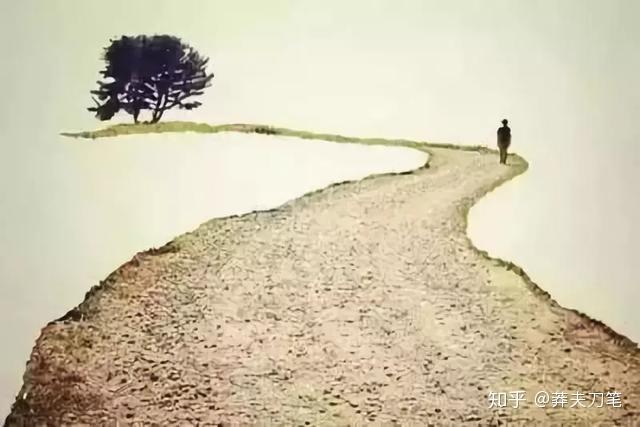 平衡法则下的生命轨迹