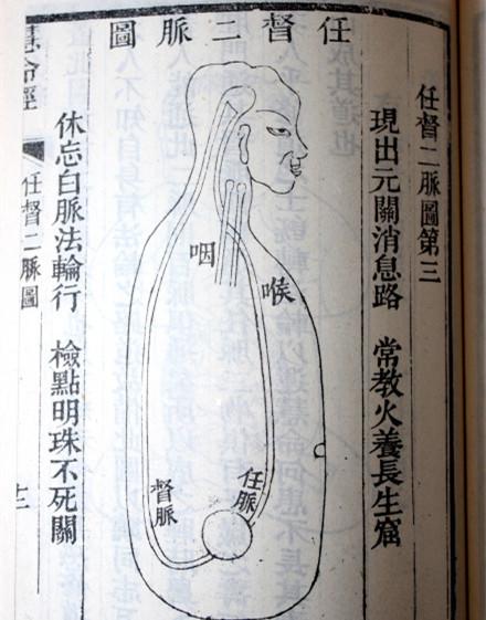 任督二脉 - 知乎