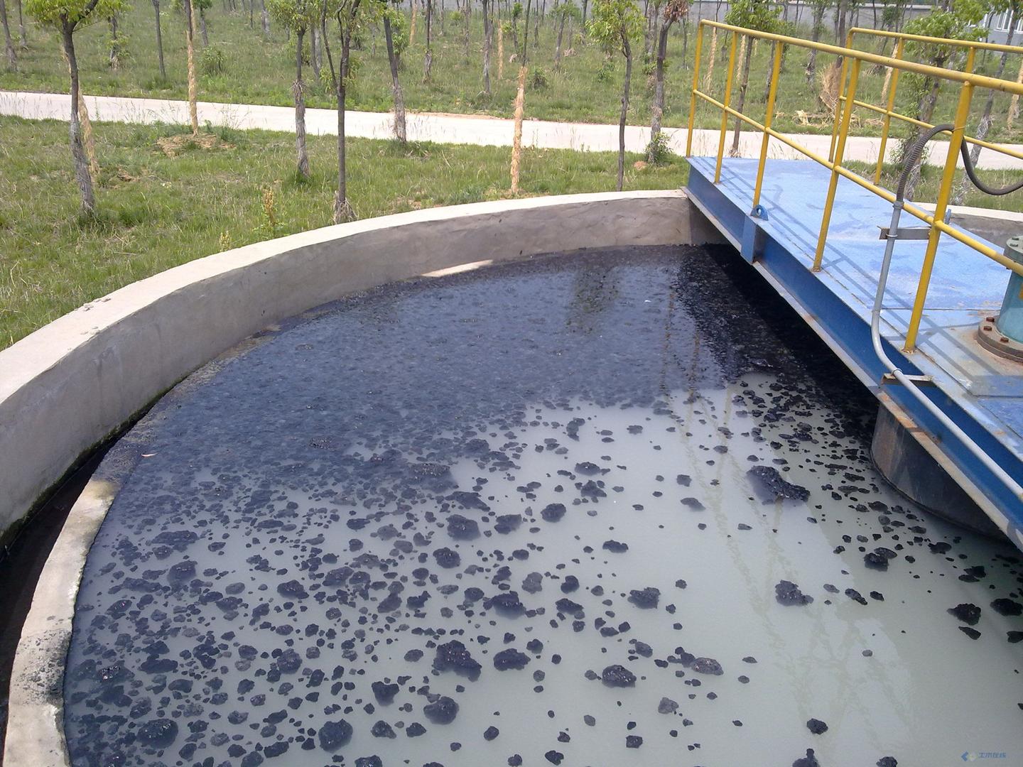 污泥上浮原因是什么