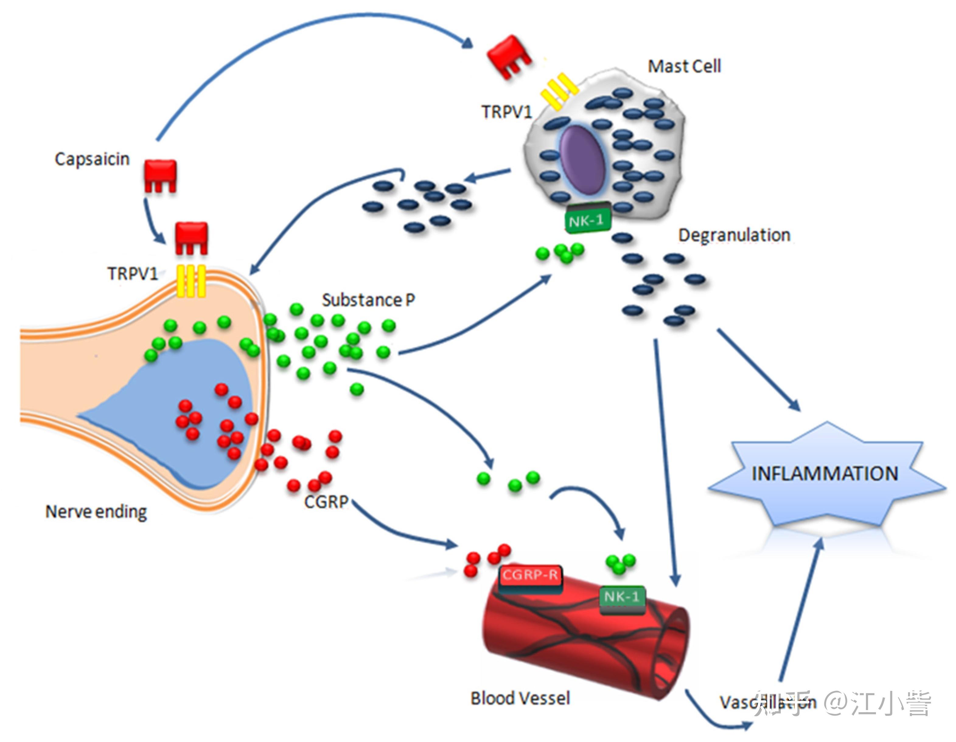 什么是抗炎类型的护肤品呢