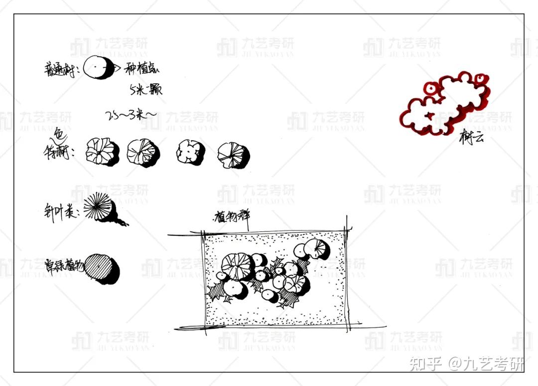 以及常绿植物在平面图中的表现