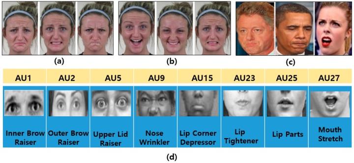 Face Expression Recognition Fer Review 知乎 7815