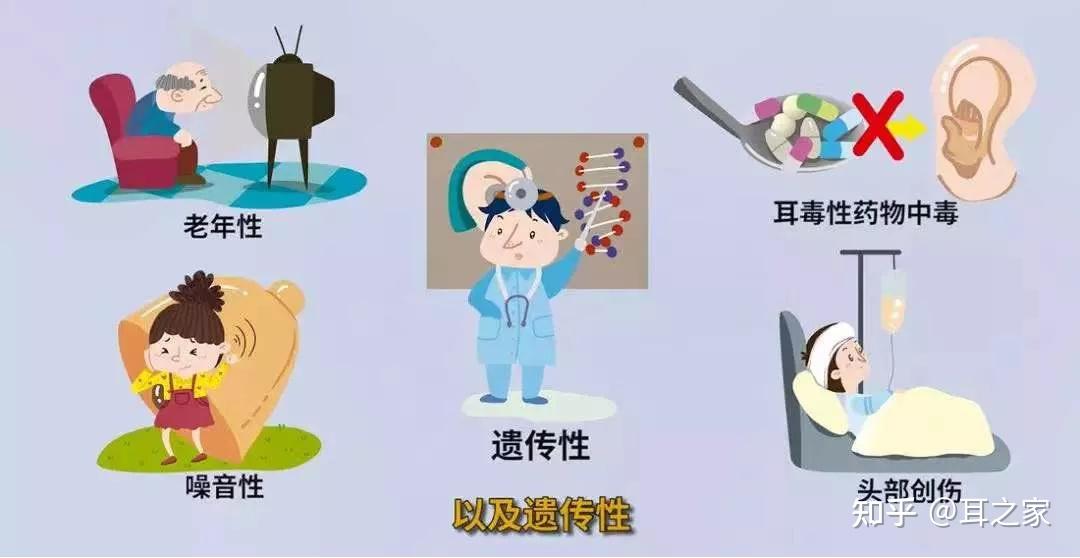 我们是如何听到声音的? - 知乎