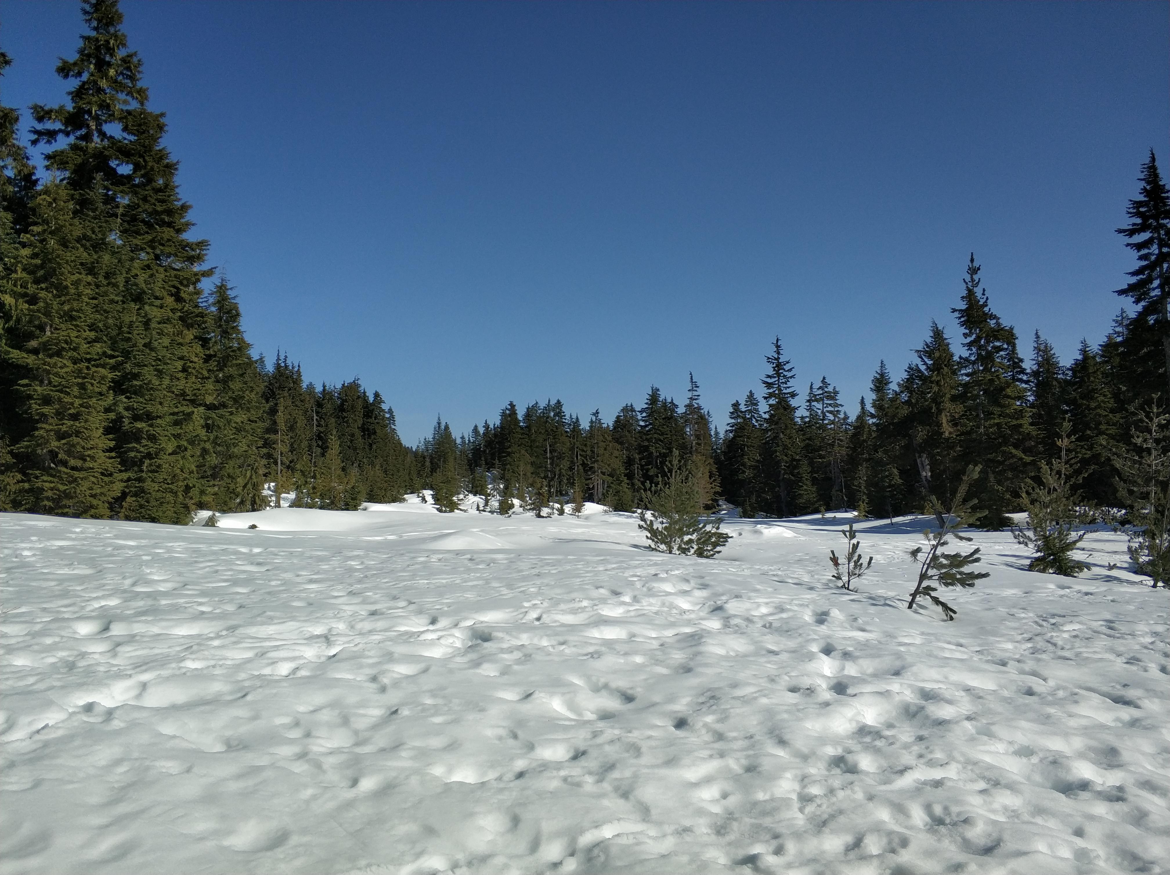 温哥华塞普拉斯山cypressmountain