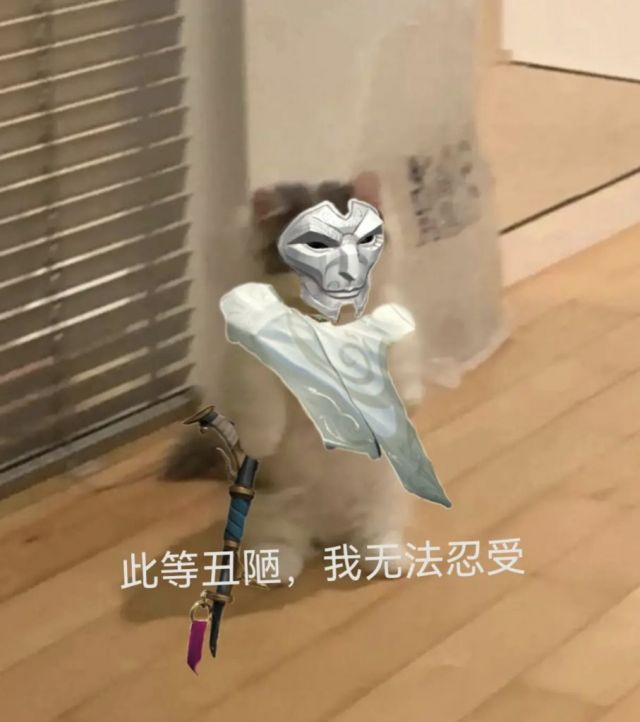 你都有哪些英雄联盟魔法猫咪的表情包