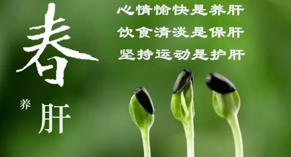 春生你真的知道怎么对自己更好吗 - 知乎