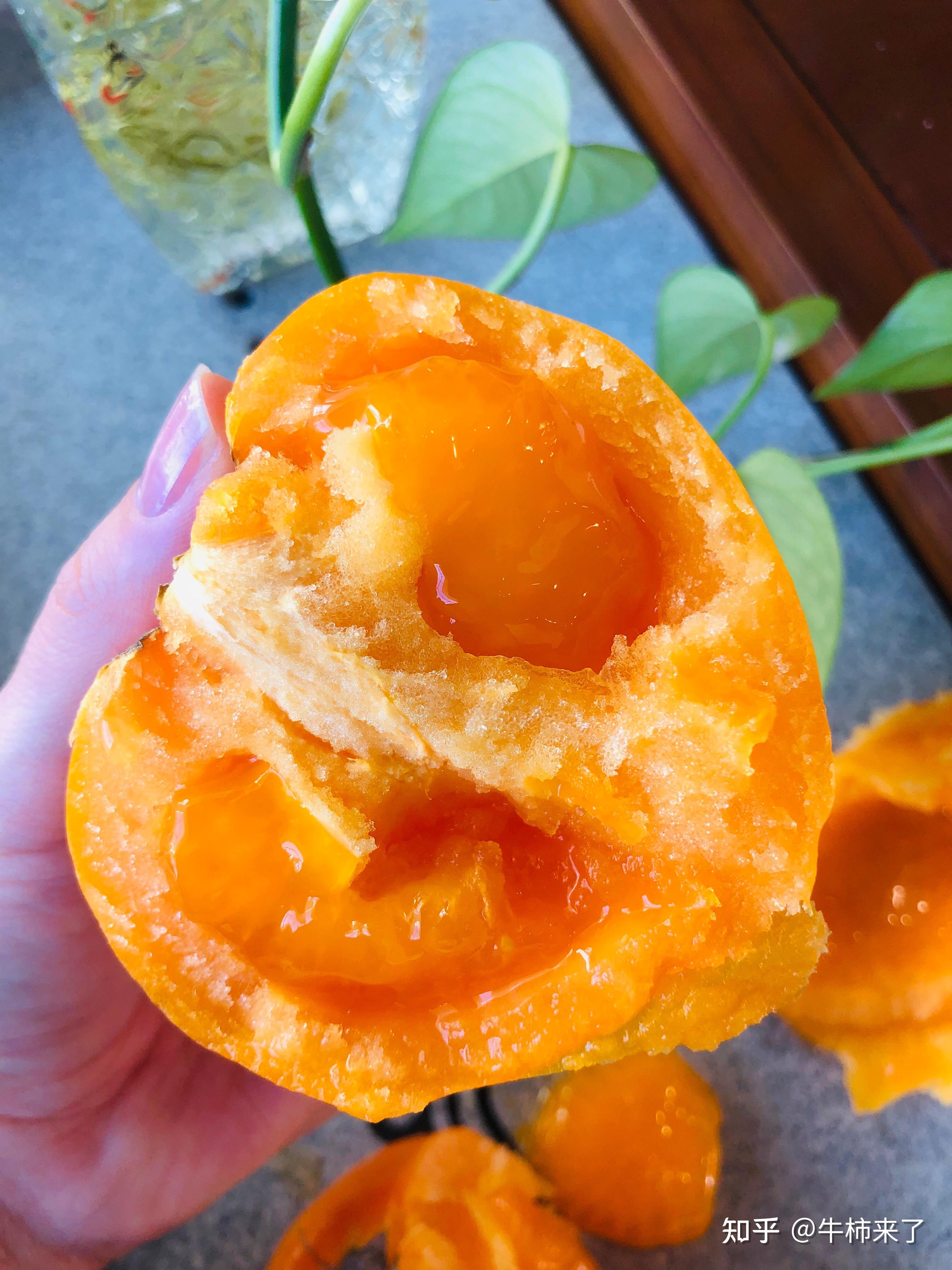 牛柿来了五原黄柿子