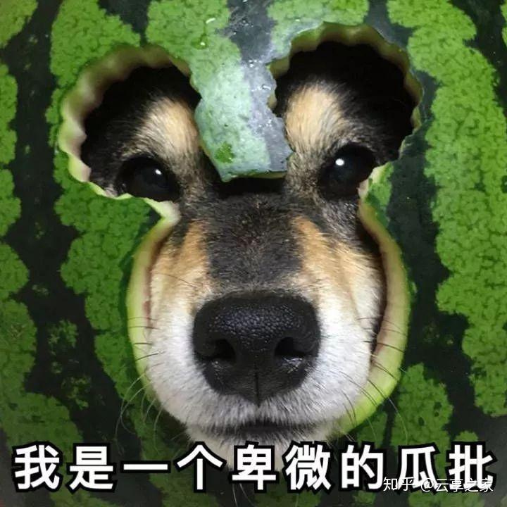 比如这个笑脸表情,有时候觉得是微笑的意思,有