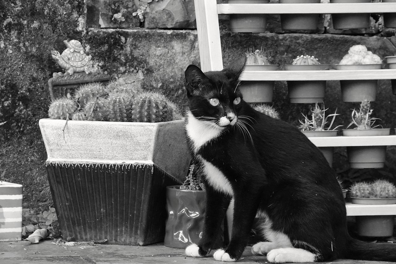 户型图解析与优势