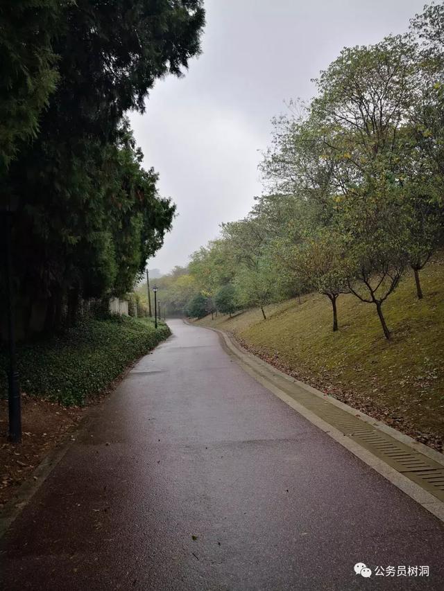v2-4845947ea06fc2c29dc52873838c9920_r.jpg