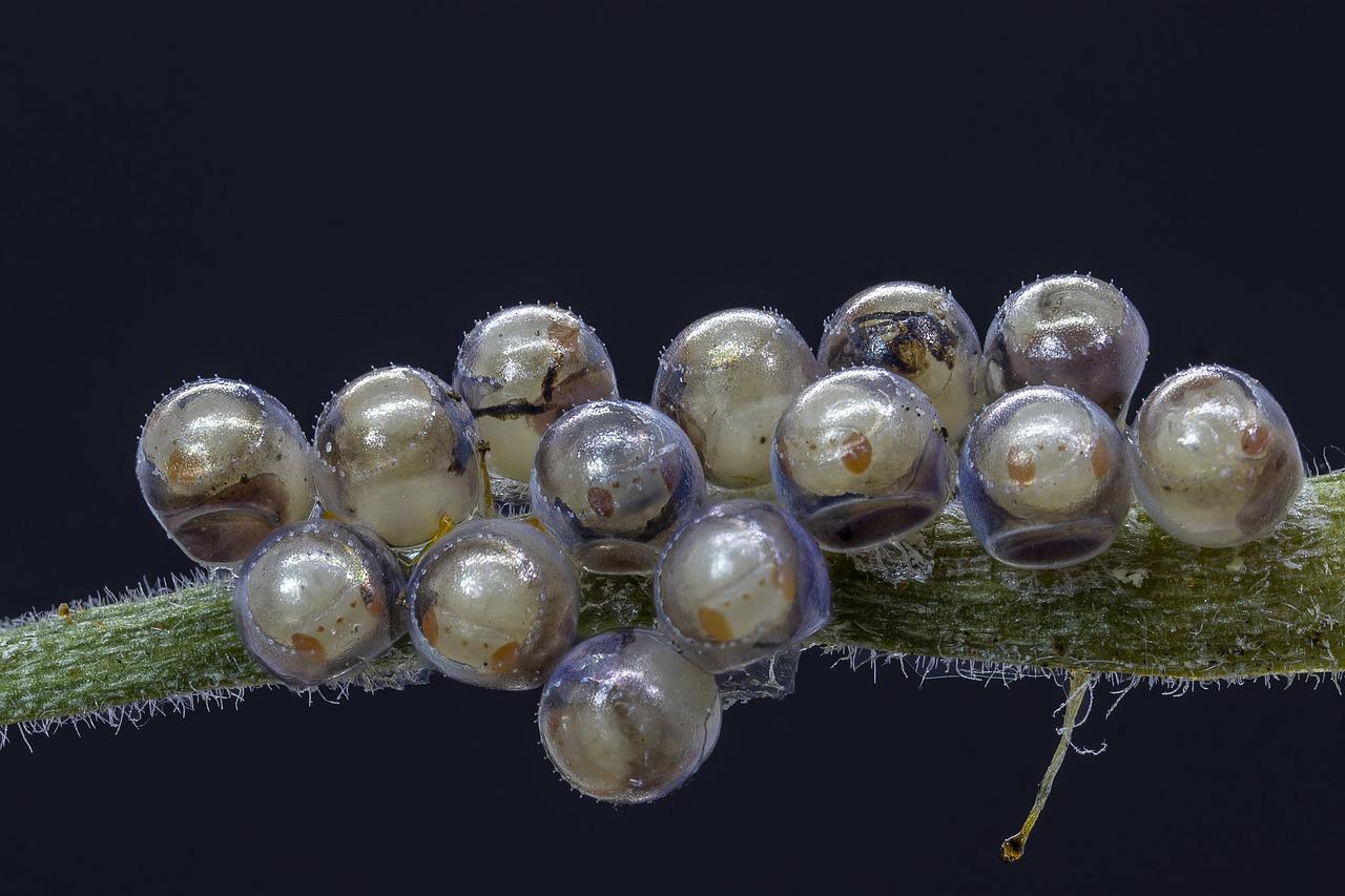 3. 纯银手链行情