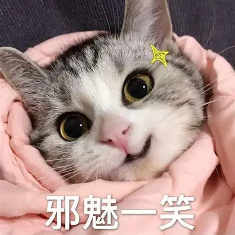 一文带你认全5080!2026年度横评雷达图!