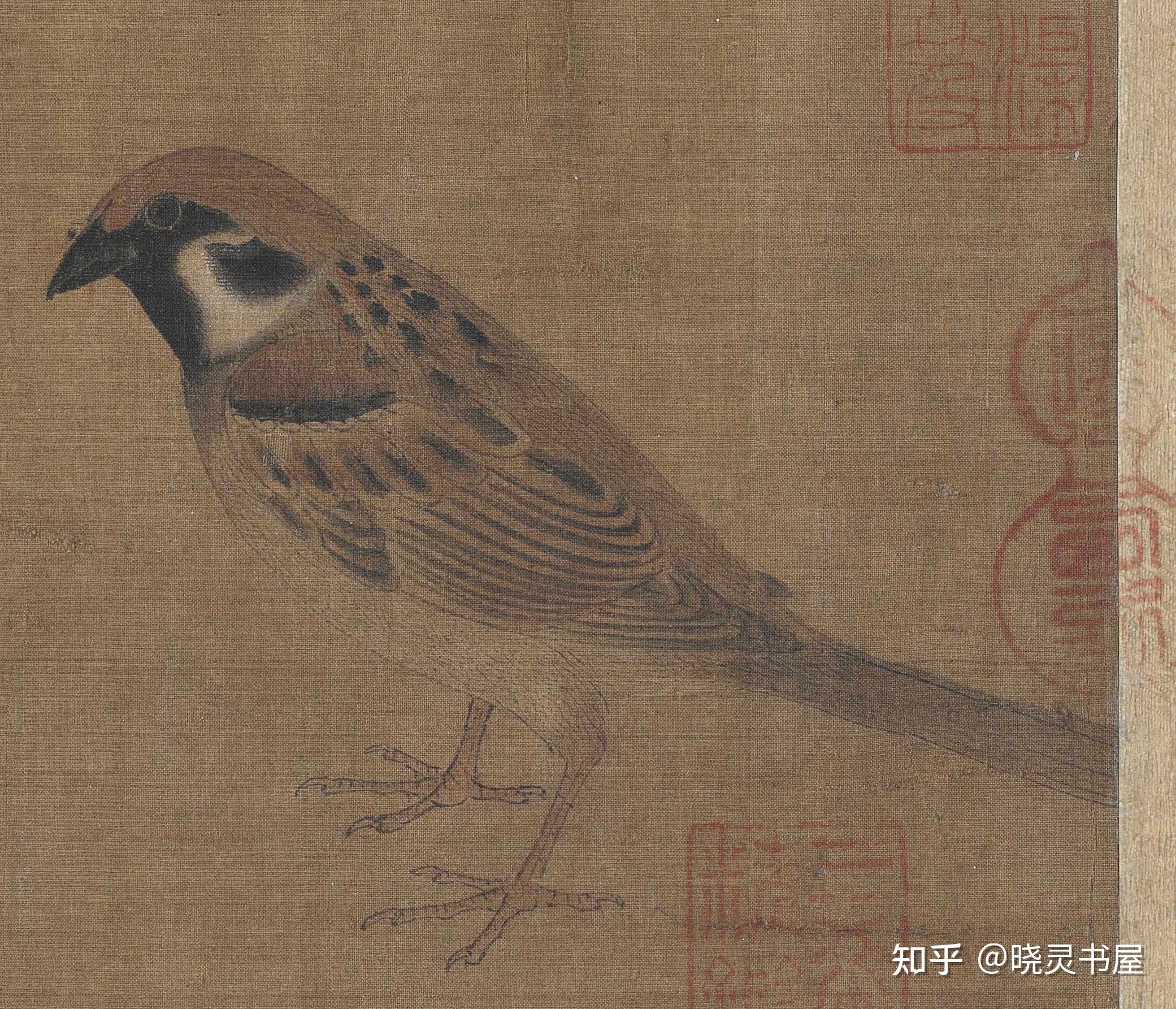 五代黄筌 | 《写生珍禽图》卷 - 知乎