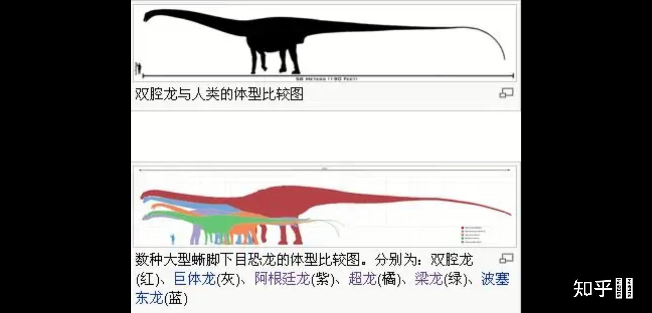 手持长矛的人能否杀死易碎双腔龙?