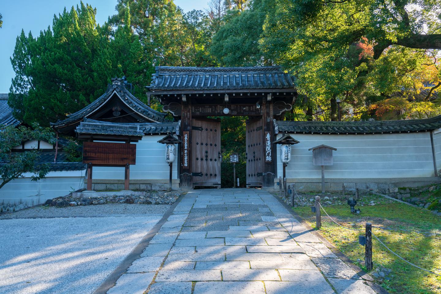 02 日本 京都 青莲院 上 知乎