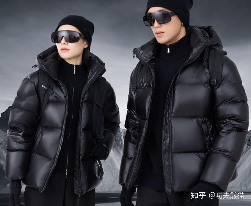 鹅绒羽绒服充绒量多少合适?鹅绒羽绒服推荐,2026年2月君羽、天石等十大鹅绒羽绒服品牌