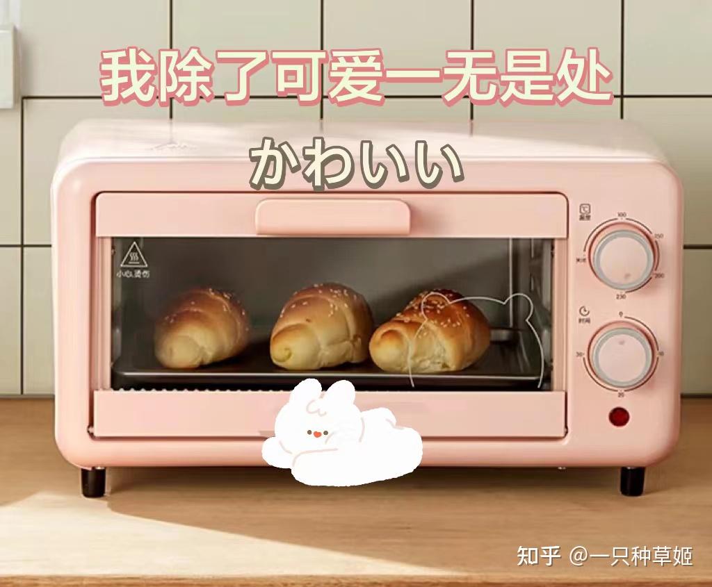 烘焙大神第一步｜手把手教你选人生第一台烤箱 知乎