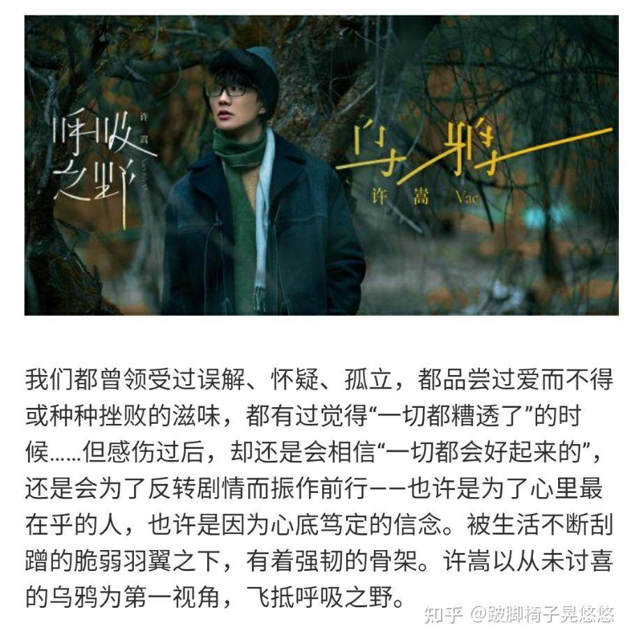 如何看待许嵩新专辑呼吸之野的乌鸦的mv