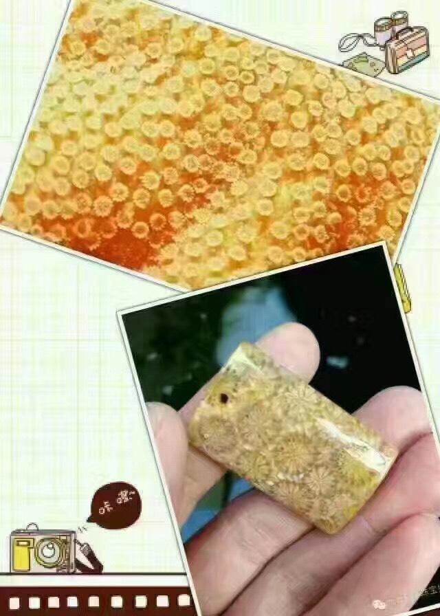 珊瑚与珊瑚玉对比图欣赏
