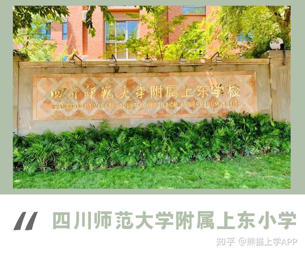 小升初必看川师系小学学校介绍来了