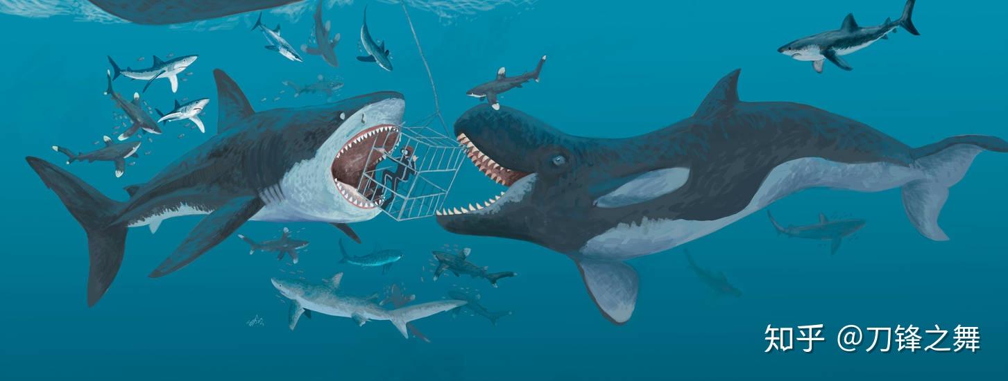 剑齿虎打得过狮子老虎吗?(剑齿虎与狮子体型对比)