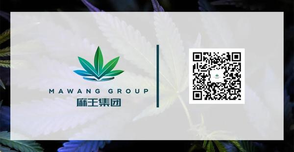 大麻煲鸡汤 我想送你一些 大麻主题 壁纸 知乎