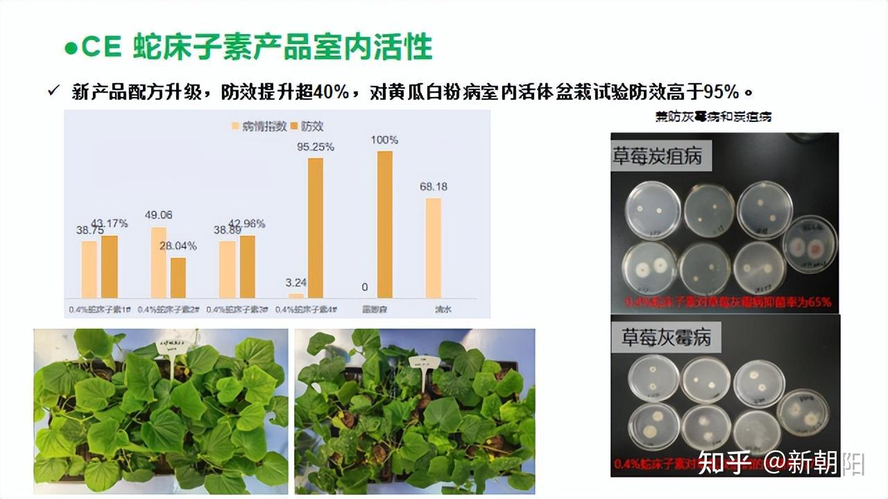 生物農藥生物農藥與化學農藥不是敵對關係而是相輔相成112