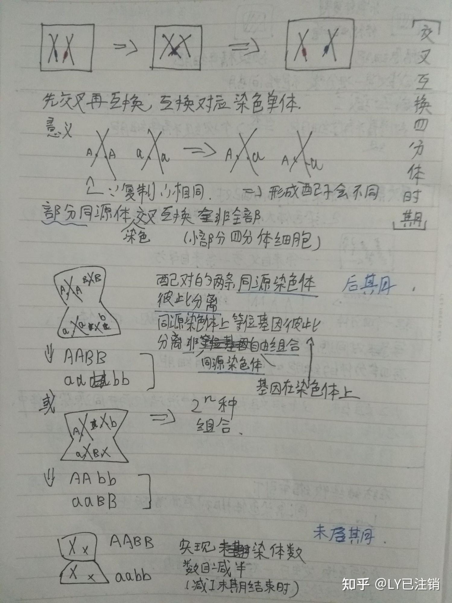 高中生物遗传学 - 知乎