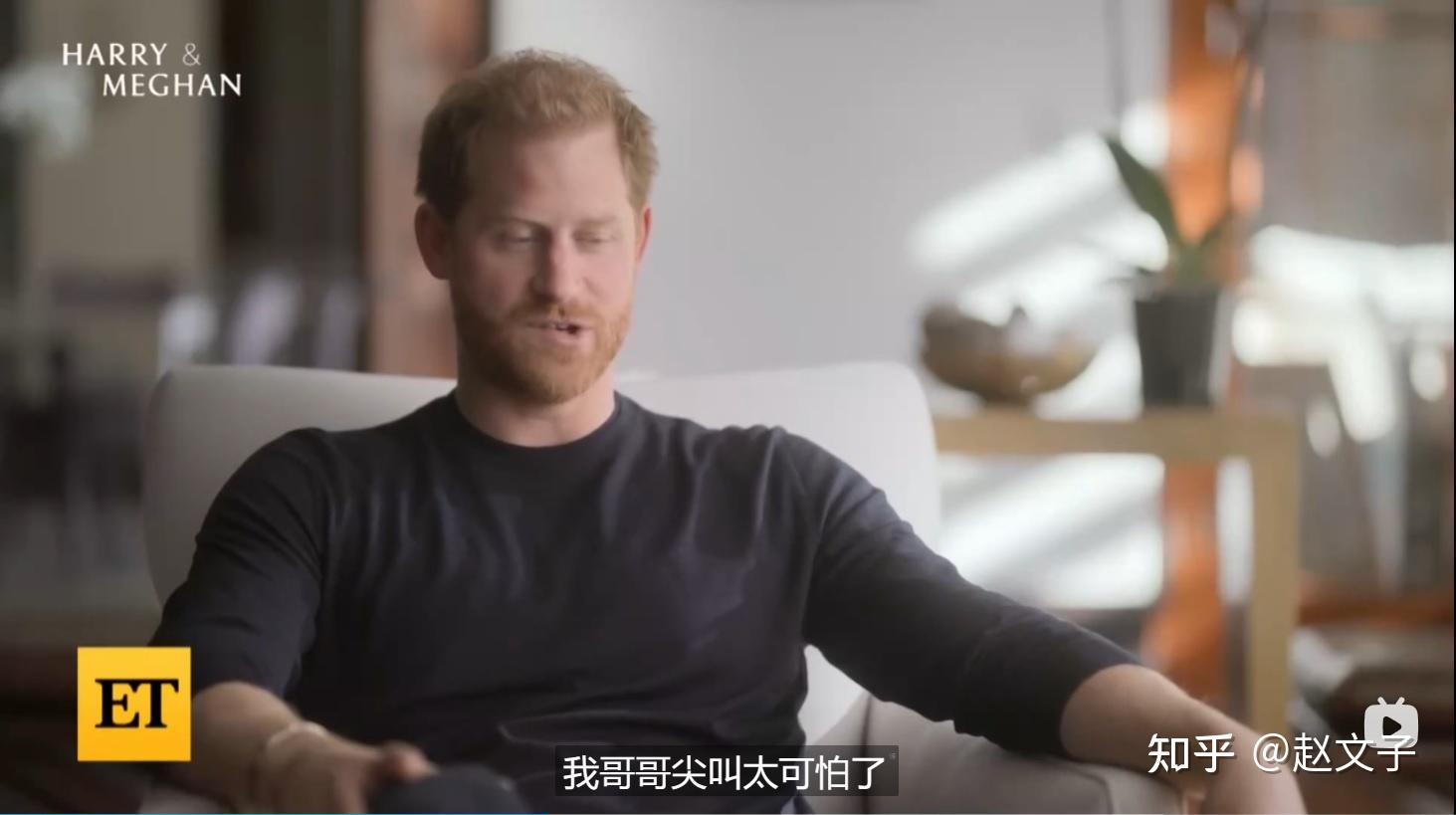 威廉王子是一个怎样的人