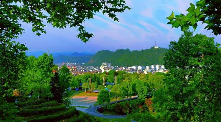 会员单位丨安徽省祁门县国家级森林康养试点建设县 - 知乎