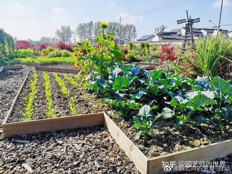都市環境向けの食用植物 庭園