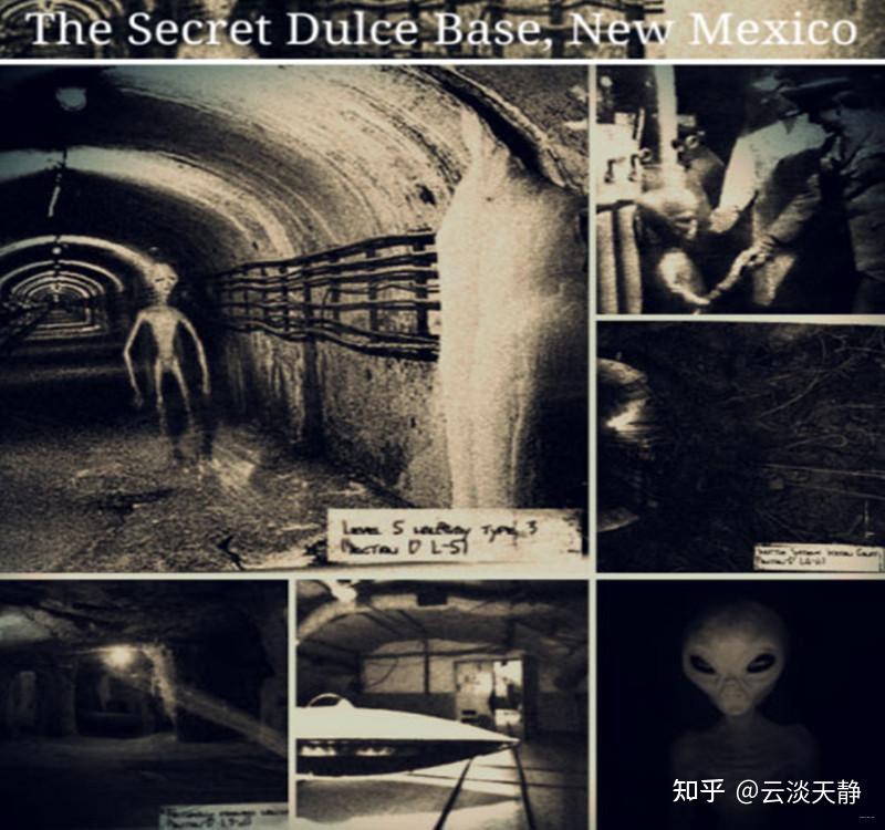 道西战解救失踪妇女人类血战外星人