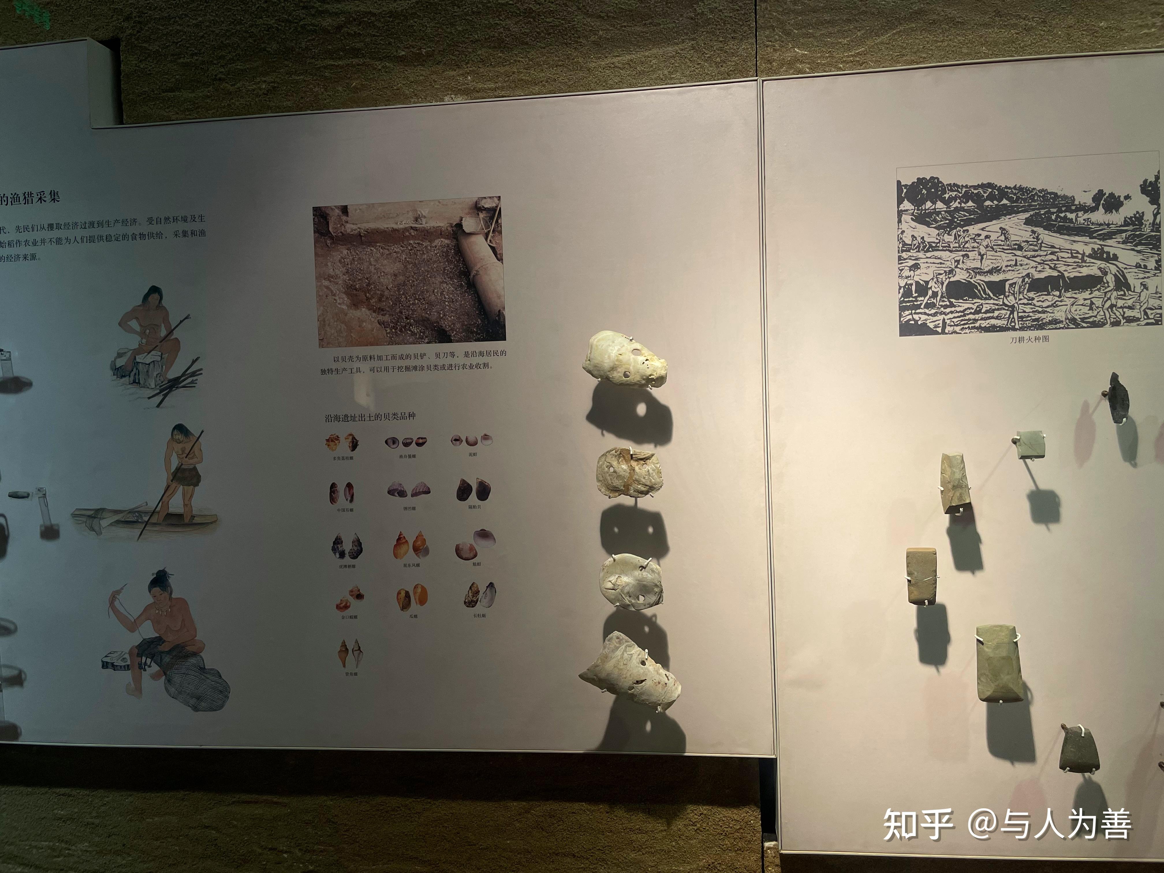 福建博物院值得一去吗有什么特别的展品推荐