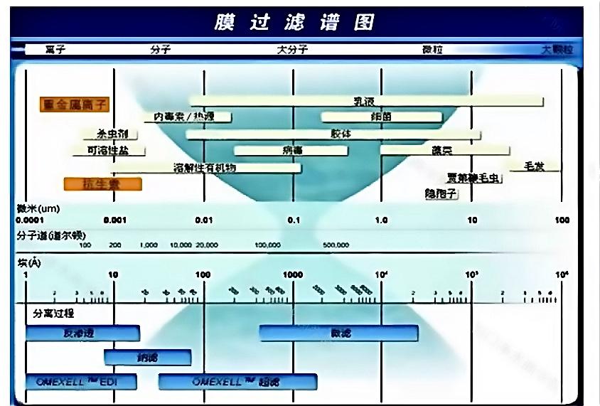 ro膜在渗透压平衡时能渗透过来的物质有哪些,哪些是对人体有害的?
