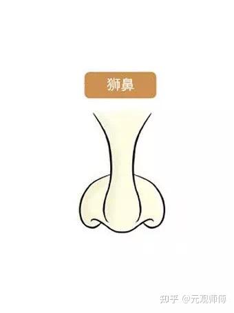 浅谈狮鼻的人生 - 知乎