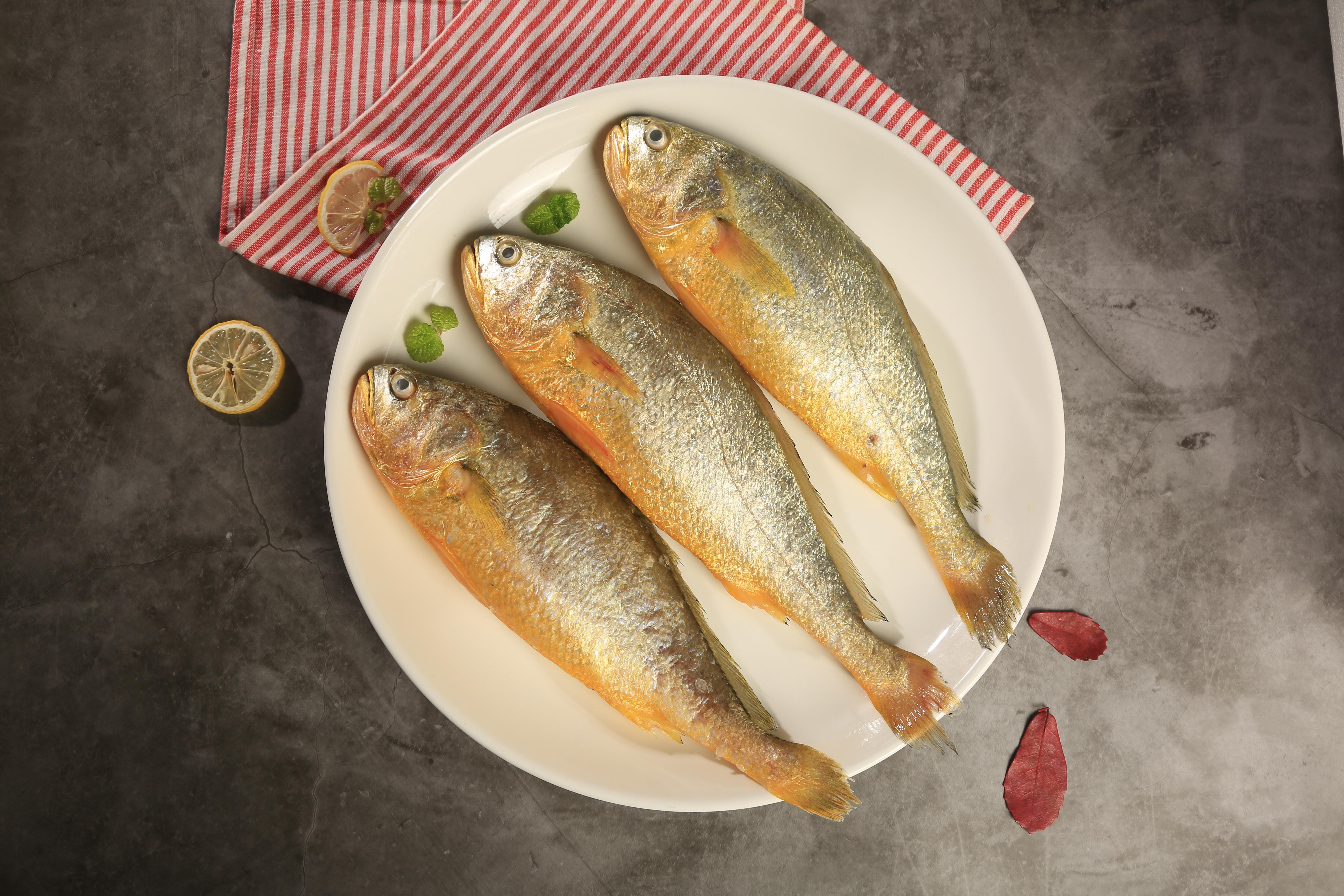 人们都说吃鱼眼睛对自己的眼睛好但你知道吗鱼生来就是近视眼