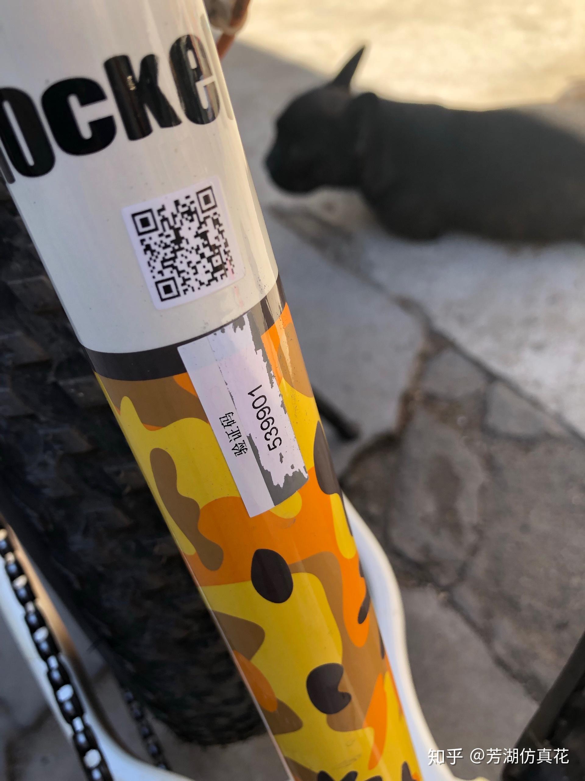 如何鉴定捷安特的真假