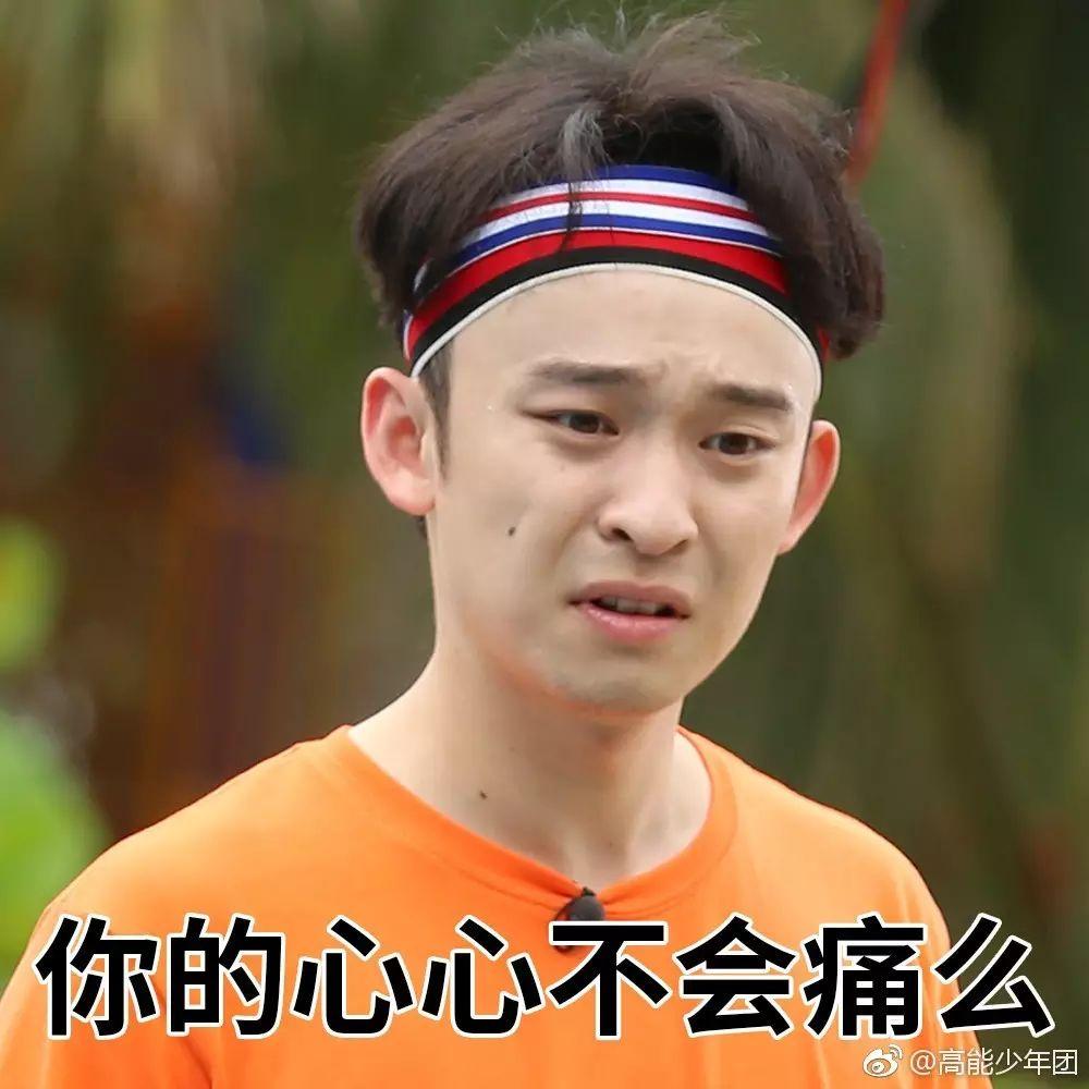 董小白的日常:哈哈哈!我在哪?我是谁?