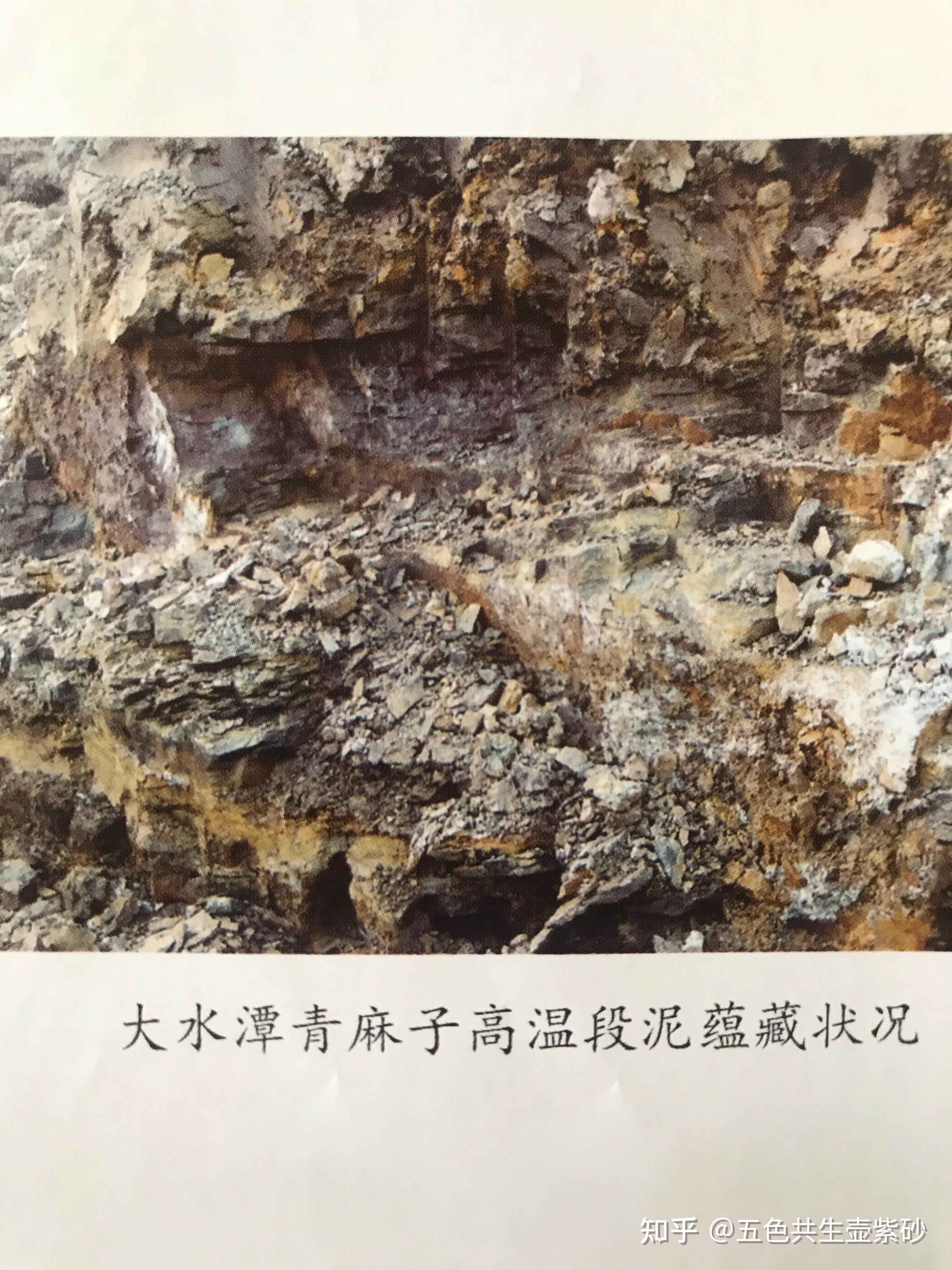 黄龙山珍稀高温麻子段泥共生矿紫砂的矿物质含量及特性？ - 知乎