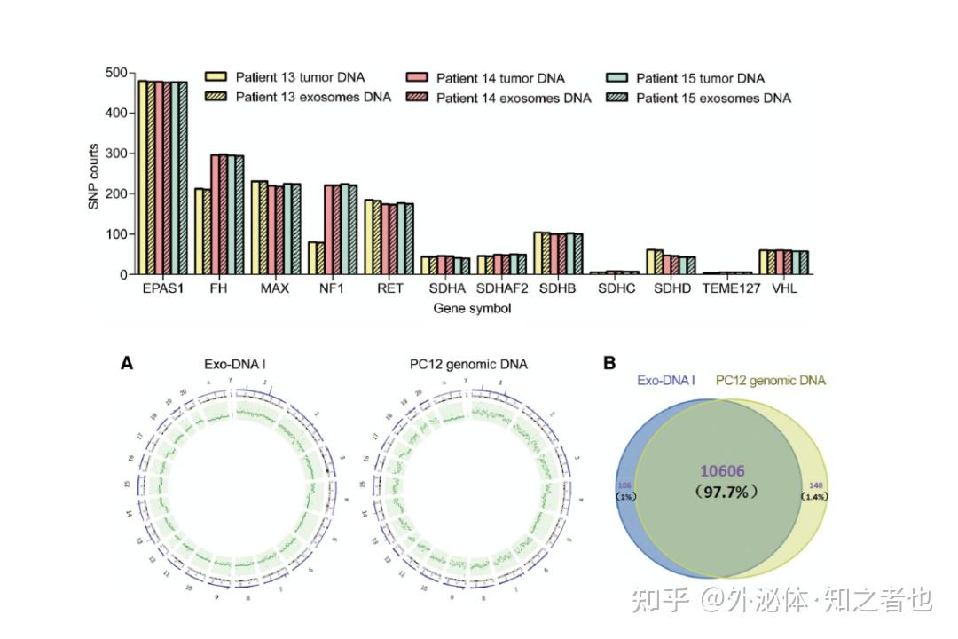 外泌體dna研究泌計前沿盤點招募令首發