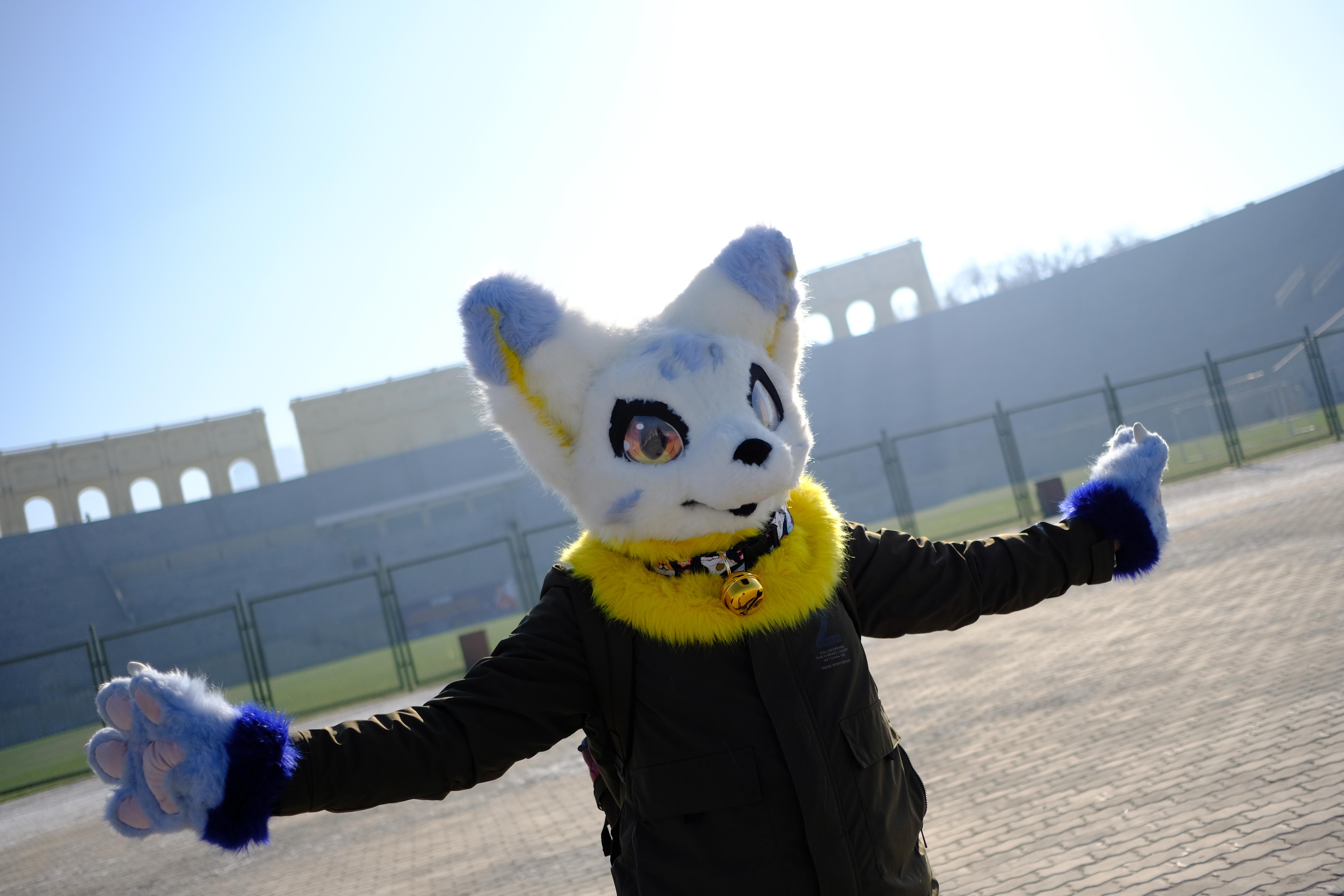 如果与兽圈自设相见,你会做什么?