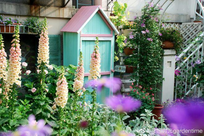 春天来了 我不允许你们没有这些植物 花园篇 知乎