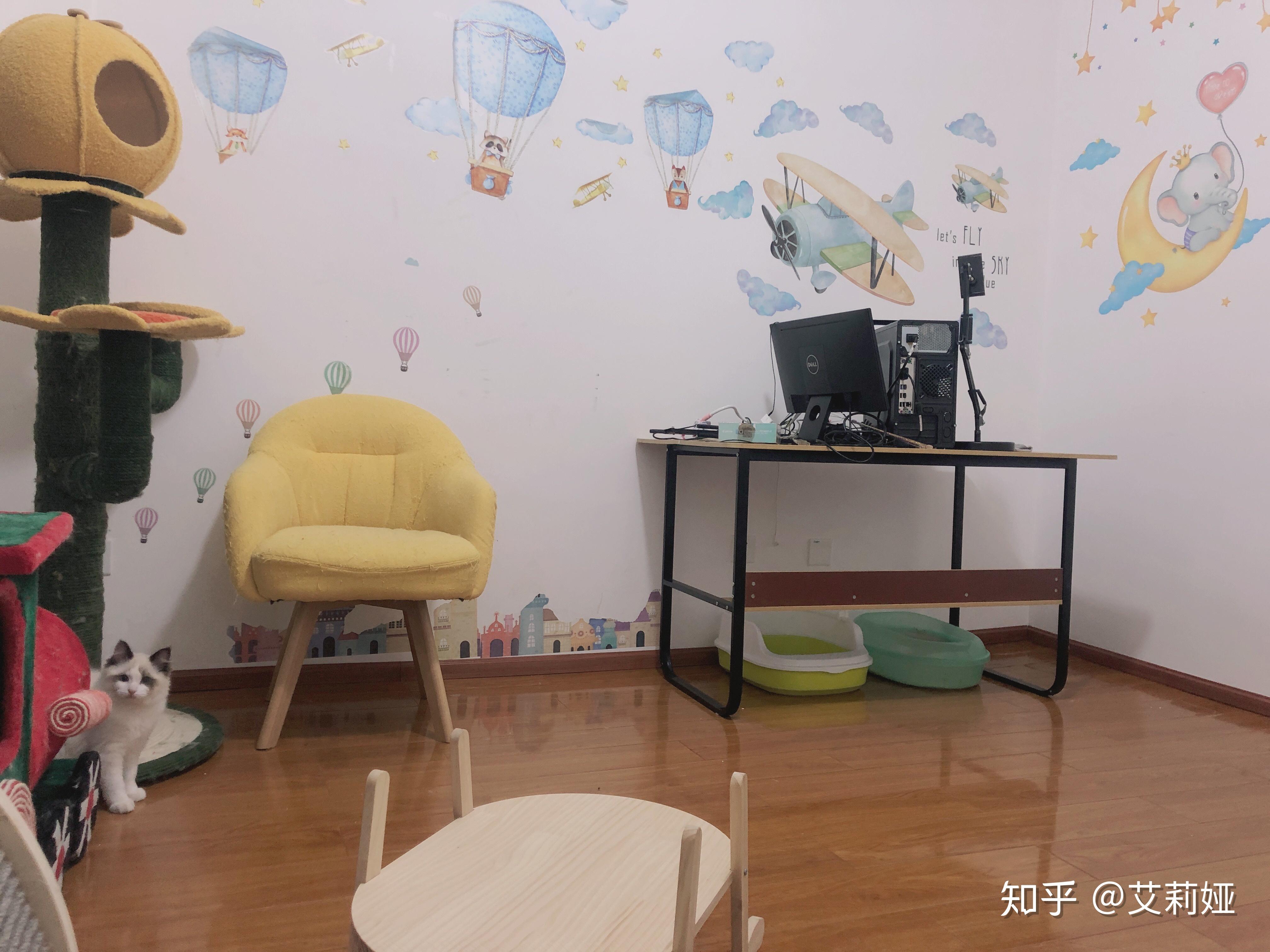 田子坊里的撸猫体验馆：猫之一隅 室内改造设计 / 平介设计 | 特来设计