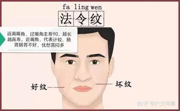 面相—法令如钟，多富贵；腾蛇入口，脾胃虚- 知乎
