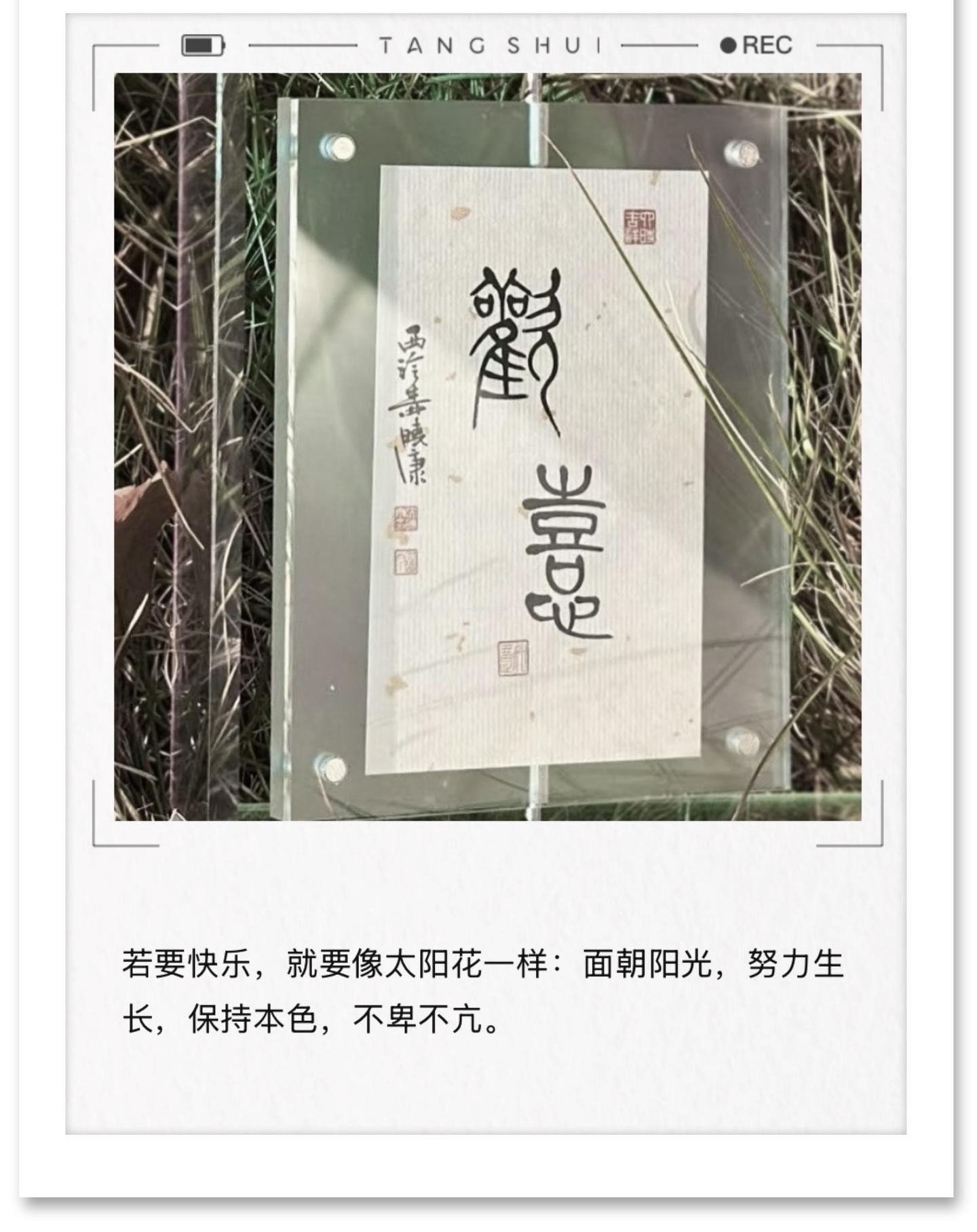 微光集(42 )—— 欢喜小豹
