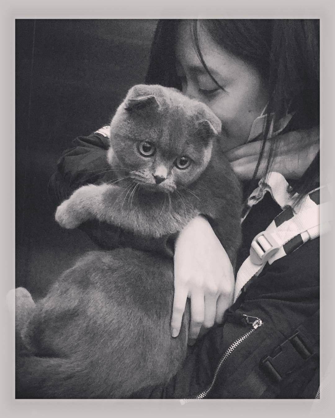 你珍藏的马鹿cp最让人心动的照片是什么