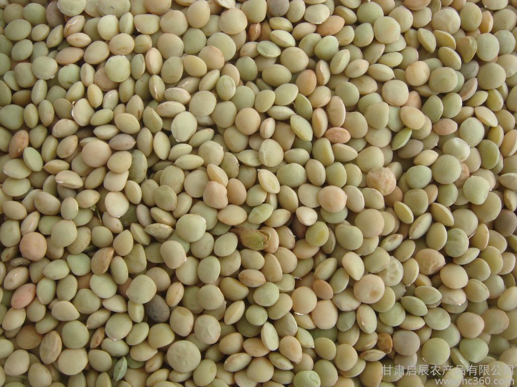 素食者除了吃豆类蛋白还能吃什么补充蛋白质